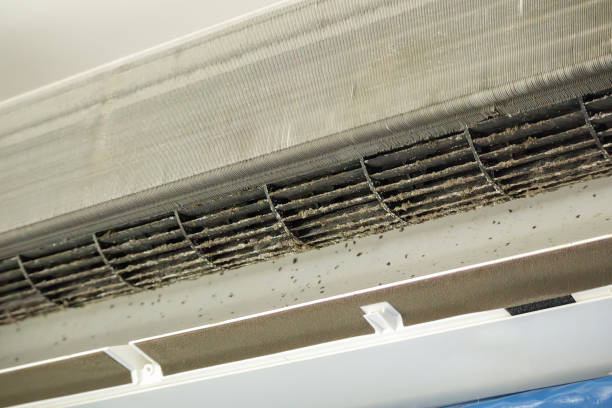 Best Air Duct Cleaning Near Me  in College Station, TX